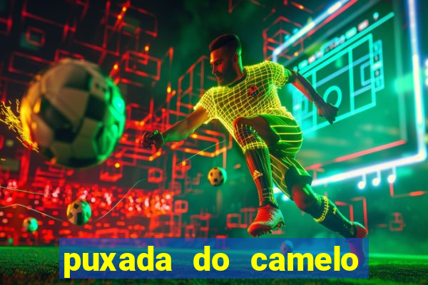 puxada do camelo jogo do bicho